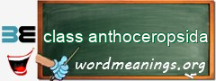 WordMeaning blackboard for class anthoceropsida